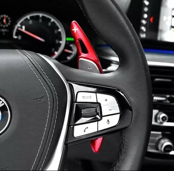 BMW G30 F40 flippers, paddle shifters