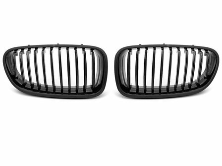 BMW F10 grille glans zwart