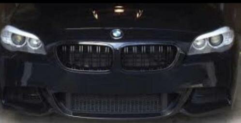 BMW F10/F11 carbon dual slat grille M5